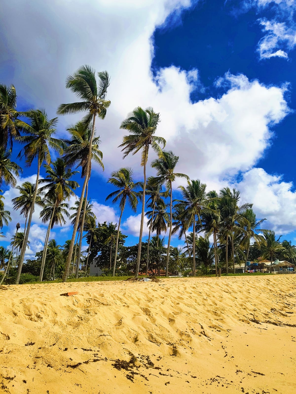 Prado reúne praias, natureza e gastronomia no sul da Bahia