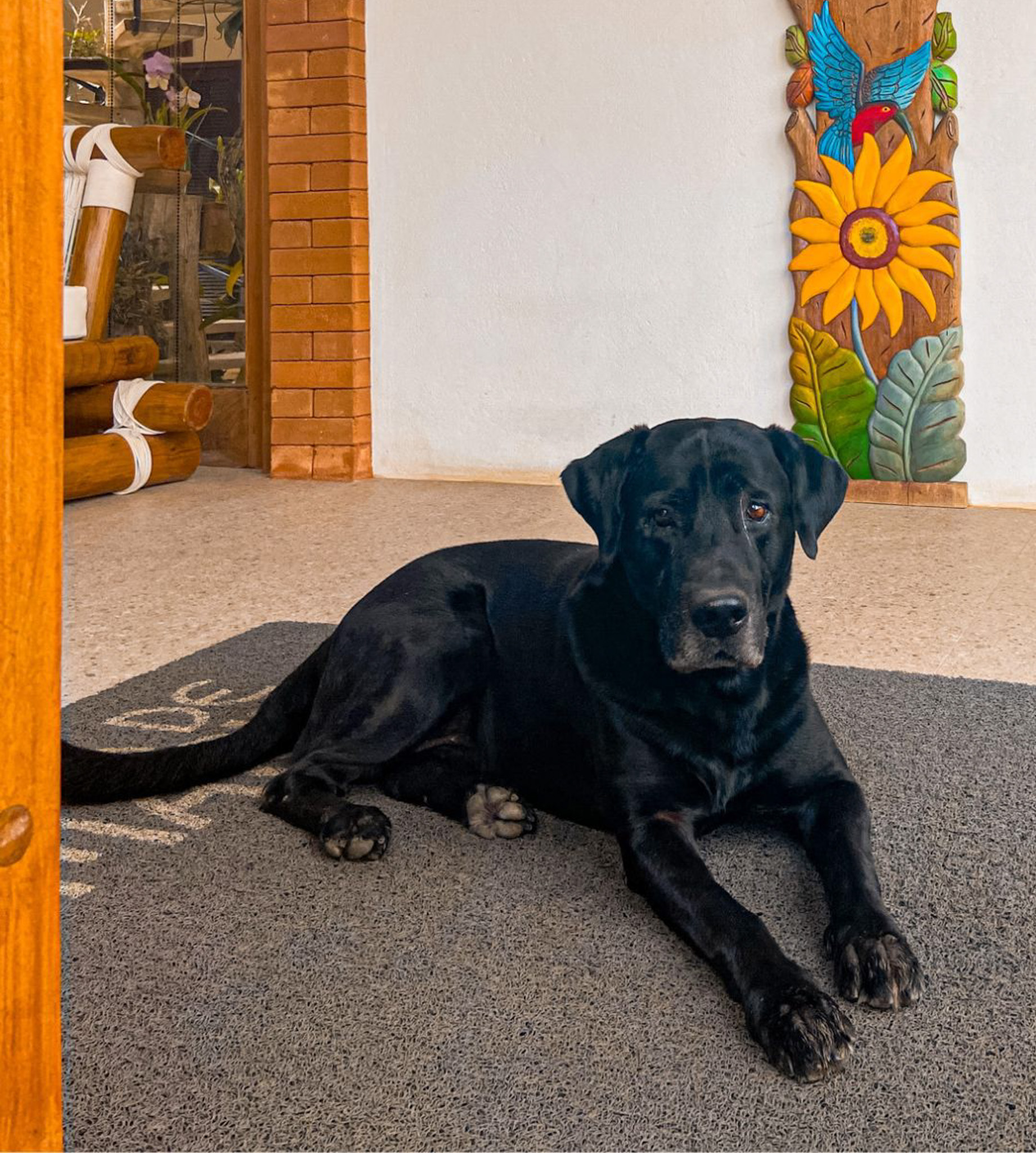 Pousada Casa De Maria Em Prado É Pet Friendly